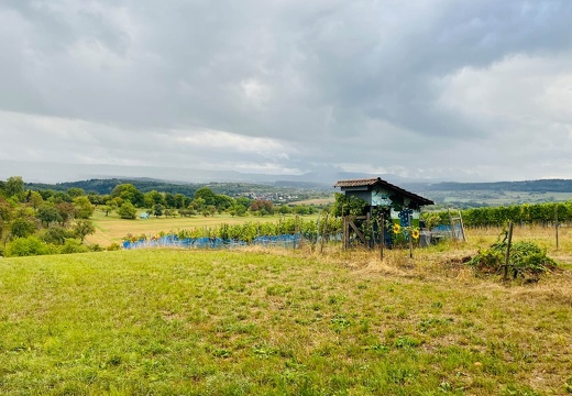 22-09-10 17-50-42 1968